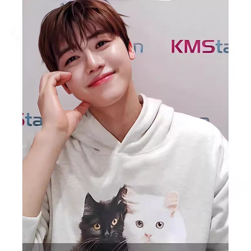 NCT Dream 2 Kitten Hoodie