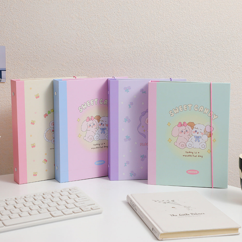 Sweet Candy Photocard Album Binder