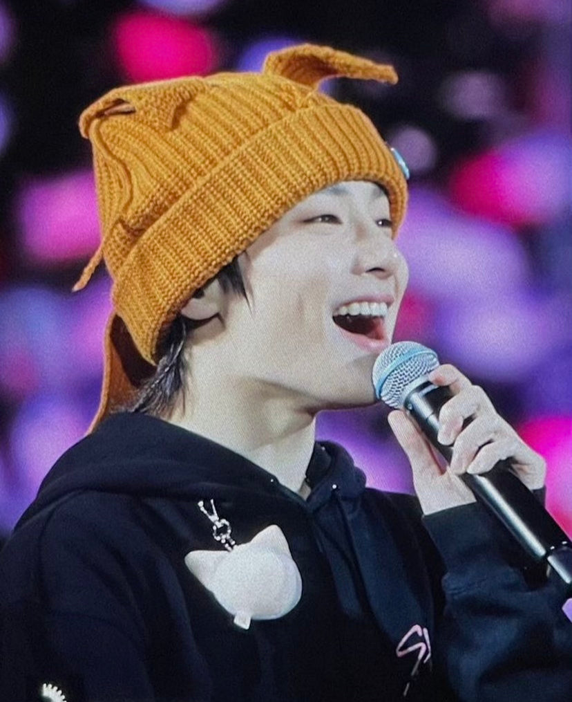 Stray Kids Chunky Knit Fox Beanie – idollookbook Stray Kids Chunky Knit Fox Beanie – idollookbook