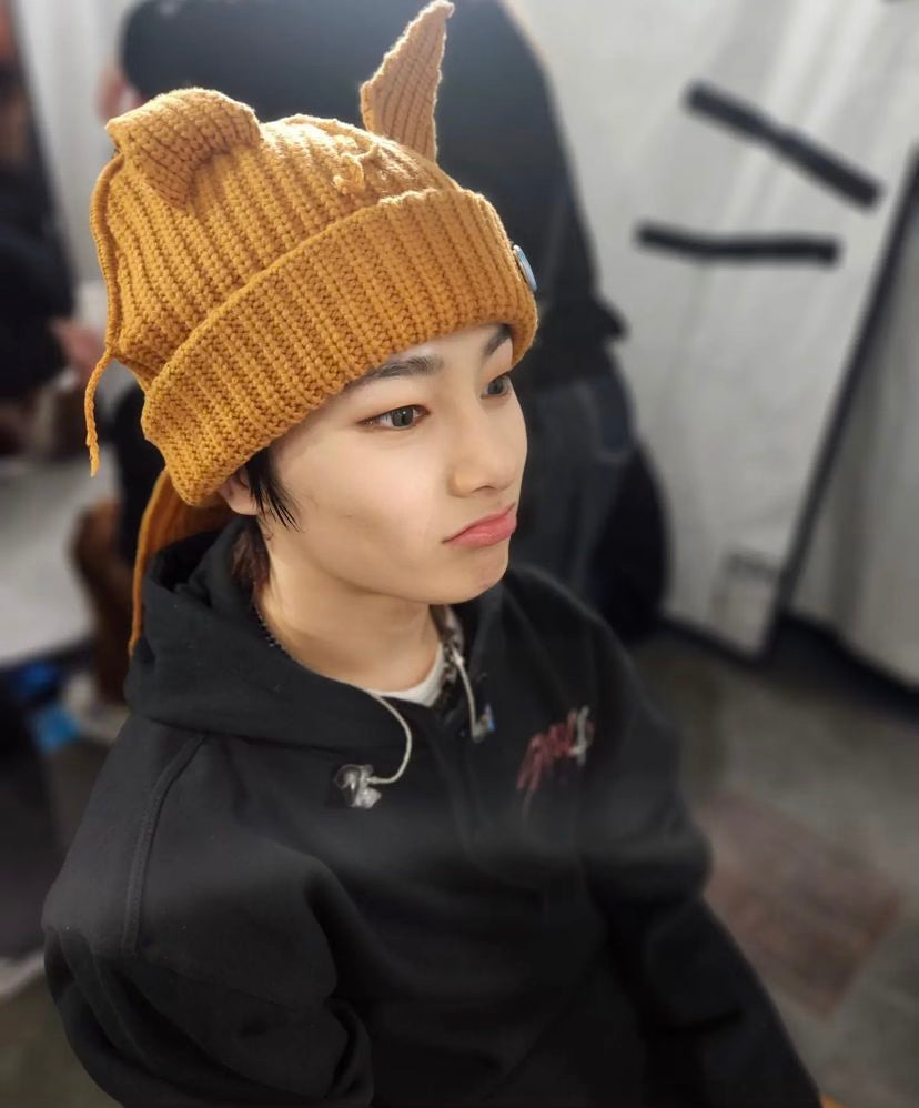 Stray Kids Chunky Knit Fox Beanie