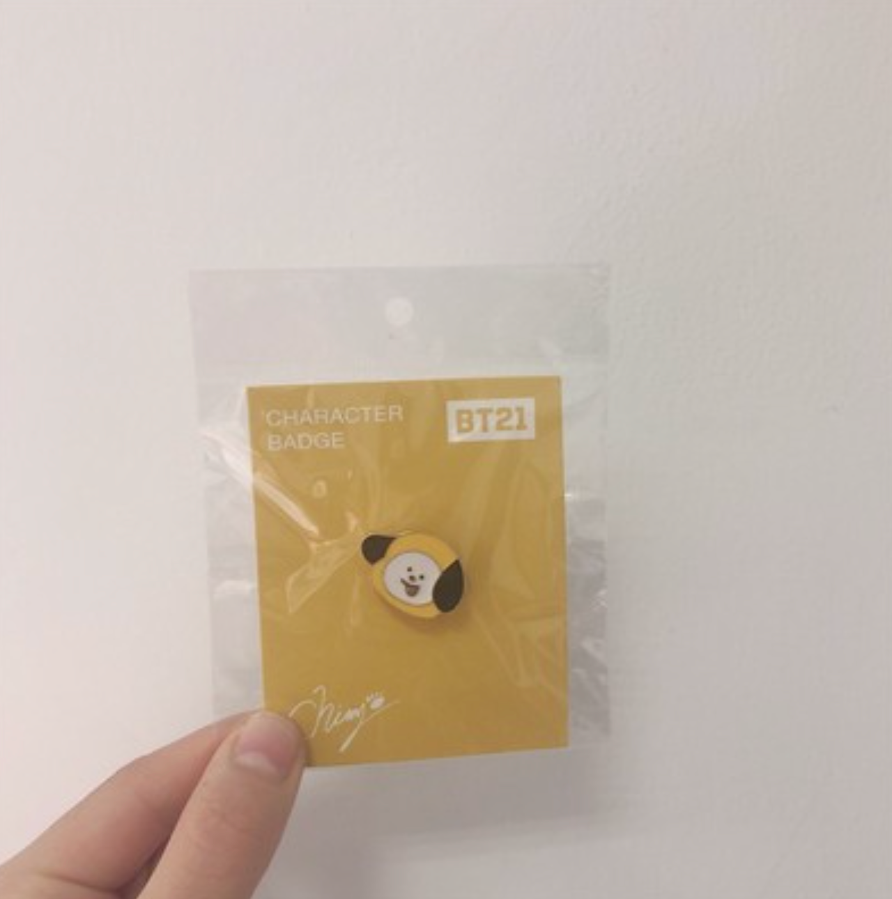 BTS BT21 Brooch